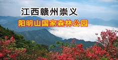 干同学小穴在线视频